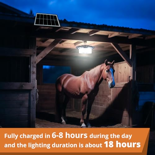 KUFUNG Solar Shed Light Pendant Lights,Waterproof Indoor Outdoor Rotation Design with Motion Sensor for Barn, Patio,Shed, Chicken Coop, Gazebo, Garage(1PACK)